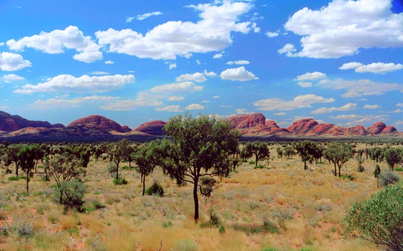 Bilder/Ferien/AUS00/australien 003b.jpg